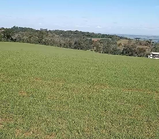 Fazenda à venda, 4m² - Foto 6