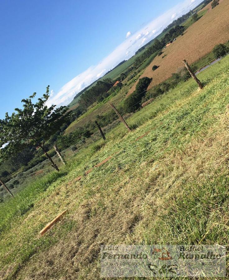 Fazenda à venda com 2 quartos, 20000m² - Foto 26