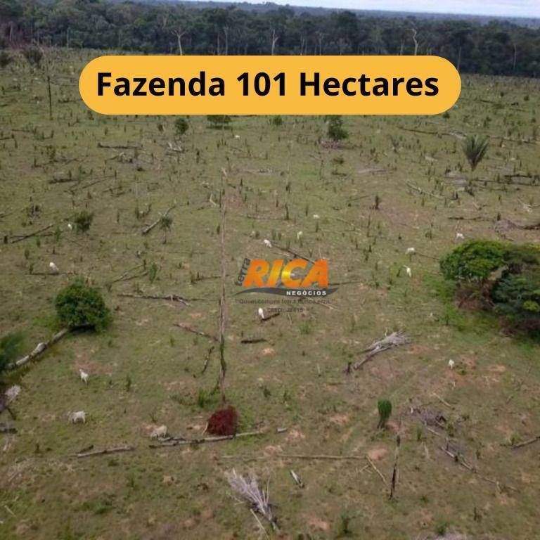 Fazenda-Sítio-Chácara, 101 hectares - Foto 1