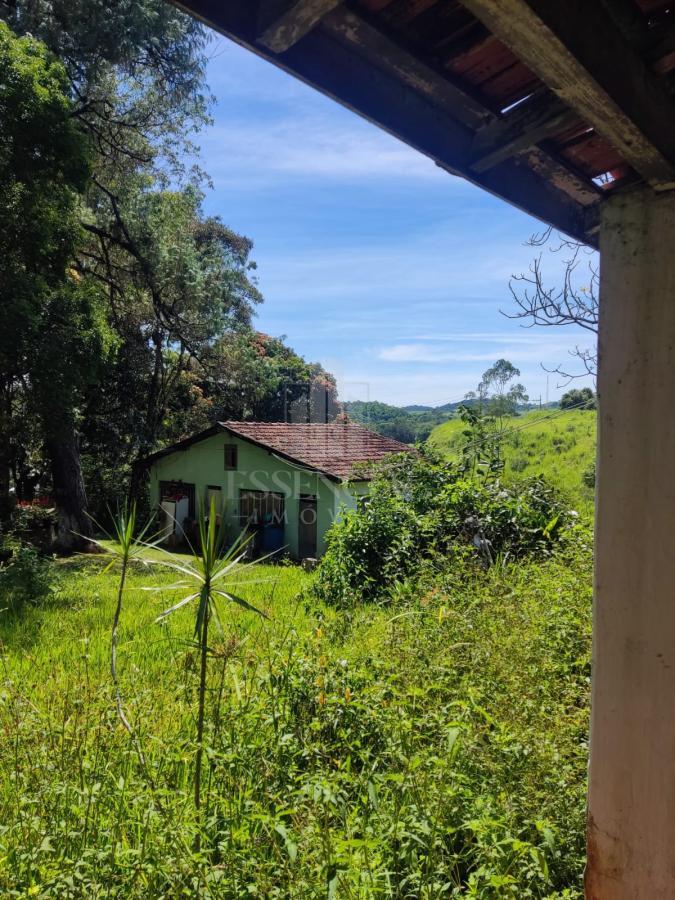 Fazenda à venda com 5 quartos, 20000m² - Foto 1