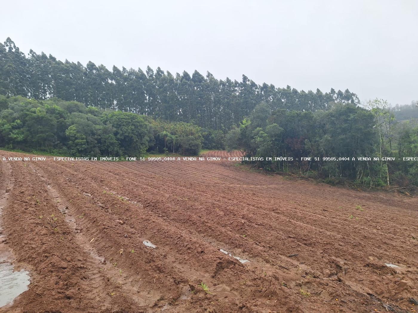 Fazenda à venda com 2 quartos, 141000m² - Foto 28