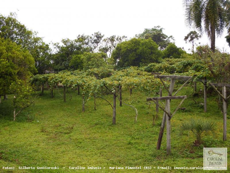 Fazenda à venda com 3 quartos, 60000m² - Foto 18