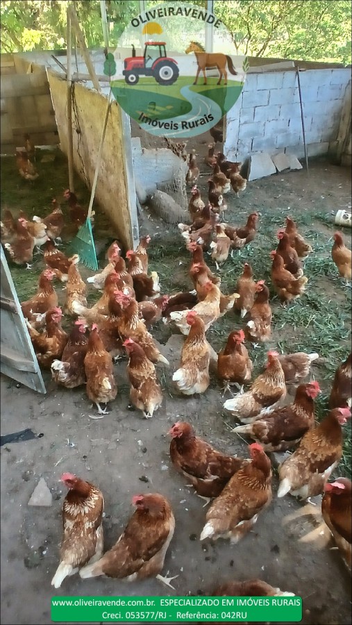 Fazenda à venda com 5 quartos, 96m² - Foto 27