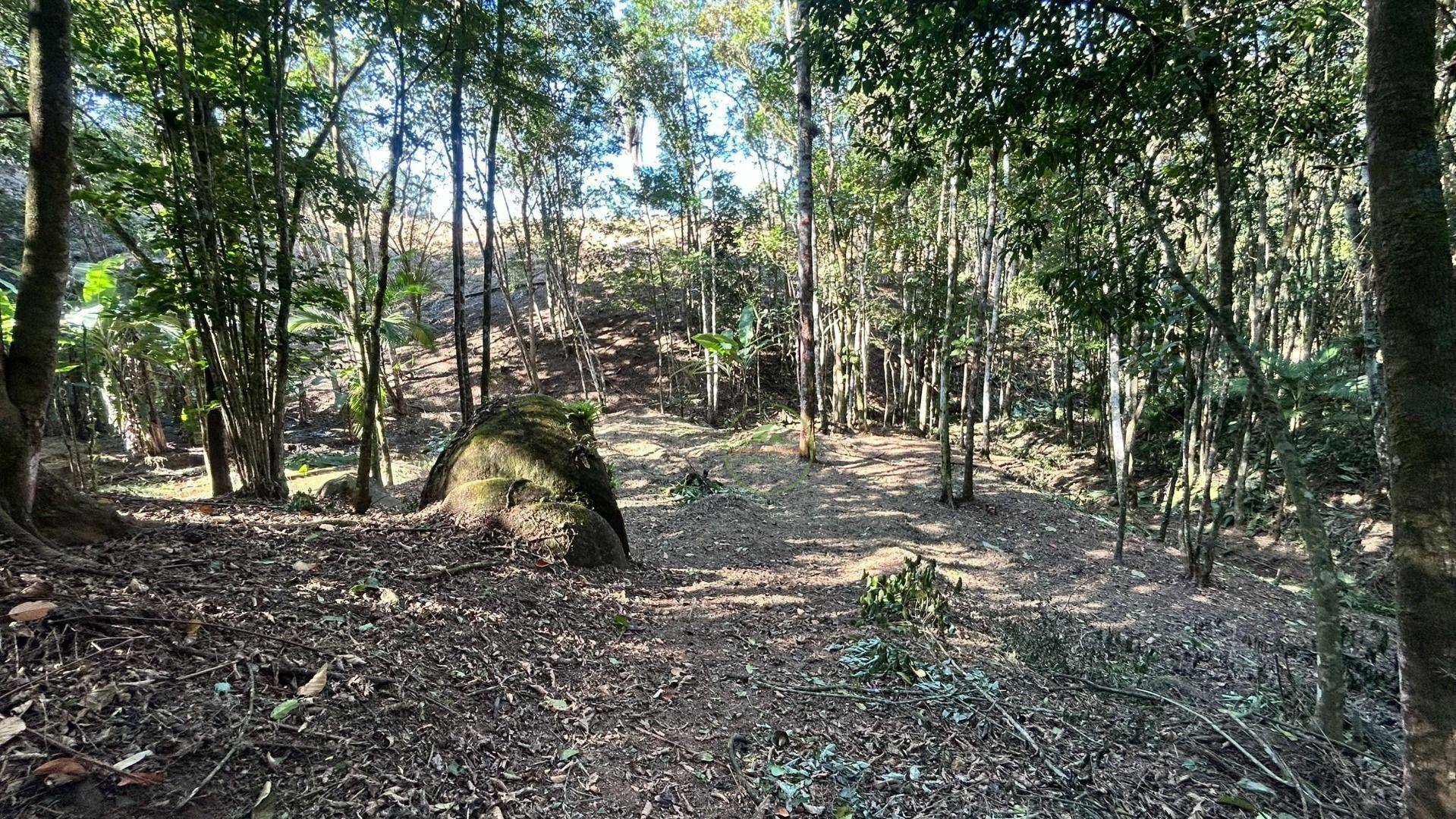 Terreno, 10000 m² - Foto 14