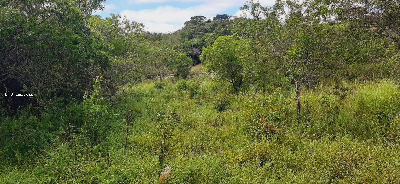 Terreno à venda, 3000m² - Foto 7