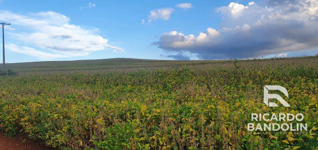 Fazenda à venda, 2057000M2 - Foto 6