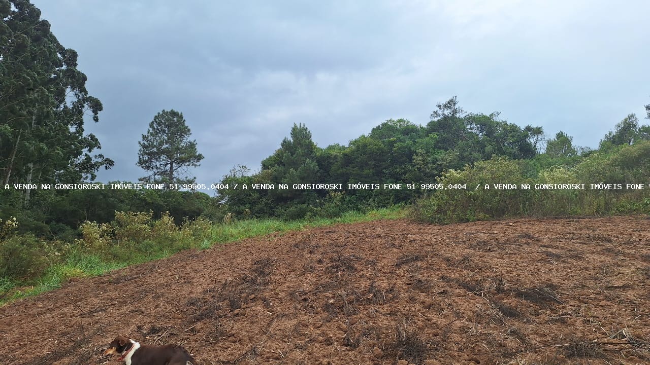 Loteamento e Condomínio à venda, 7250m² - Foto 5