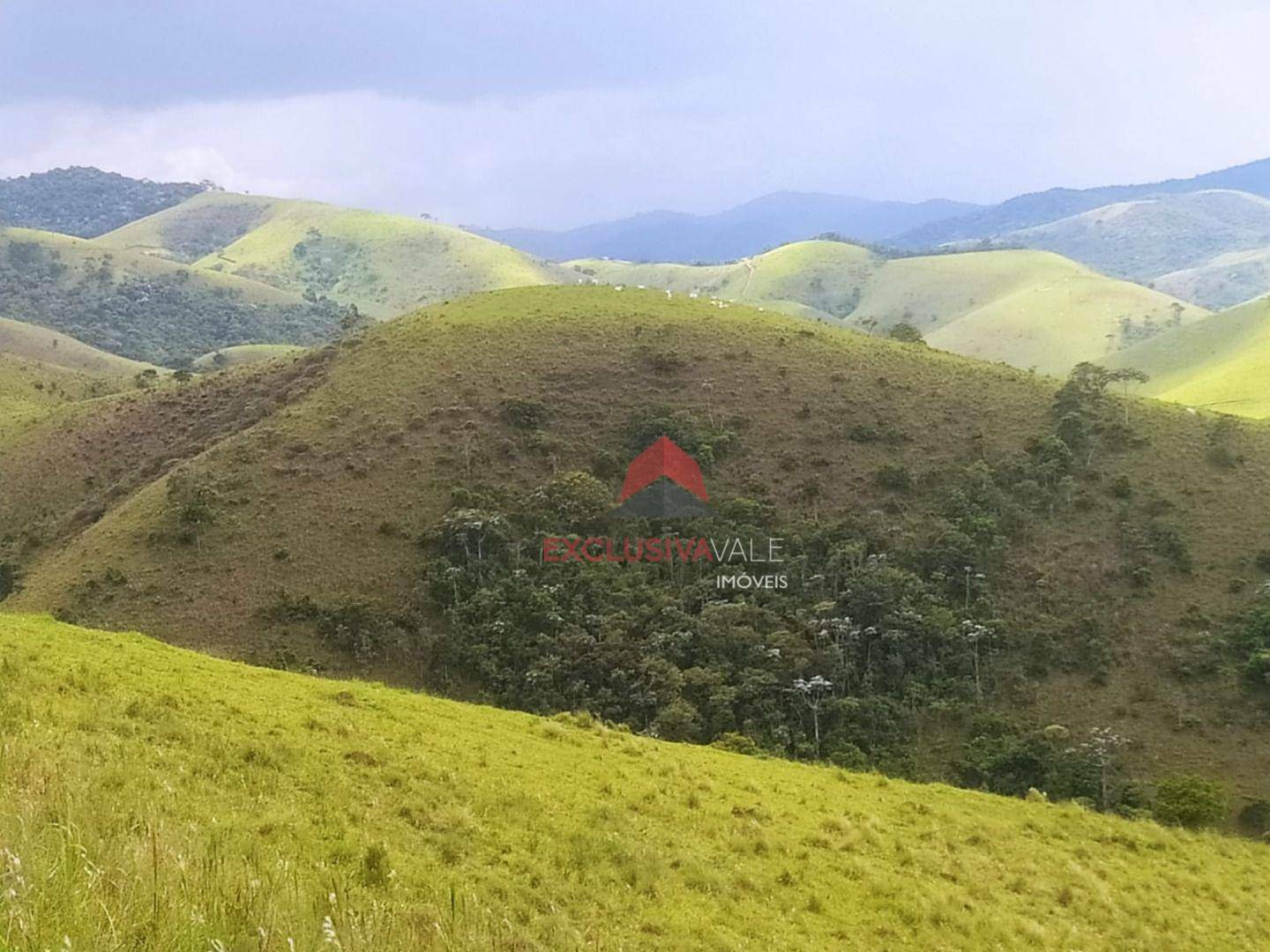 Sítio à venda, 73942M2 - Foto 5