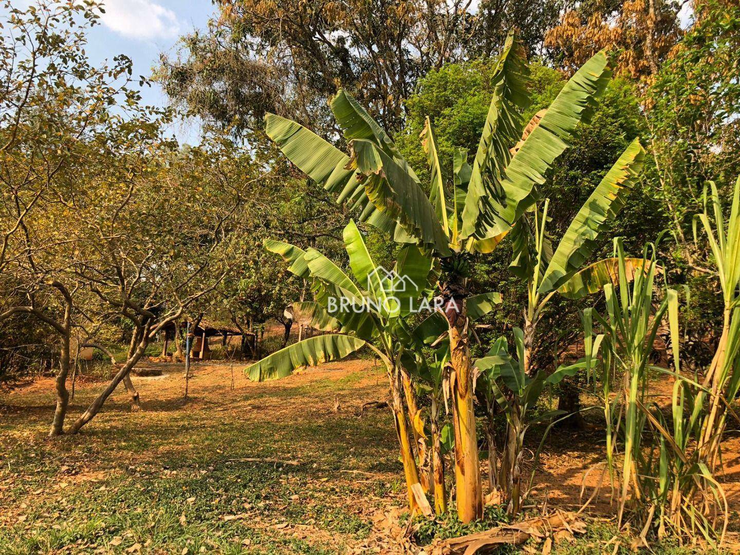 Sítio à venda com 3 quartos, 150m² - Foto 24