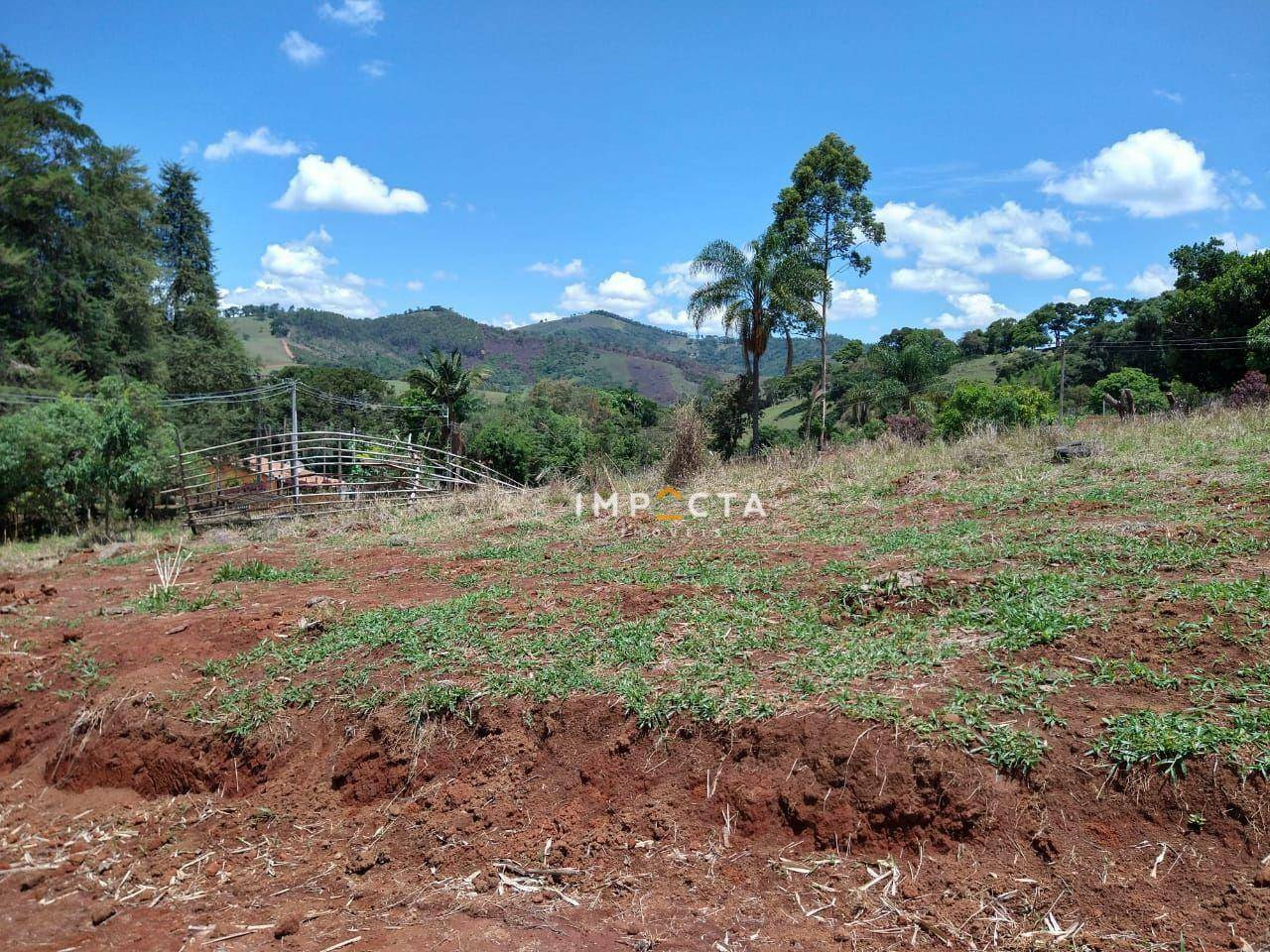 Sítio à venda com 3 quartos, 58000M2 - Foto 104