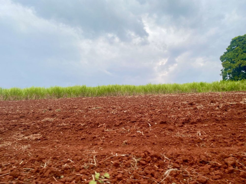 Fazenda-Sítio-Chácara, 34 m² - Foto 5