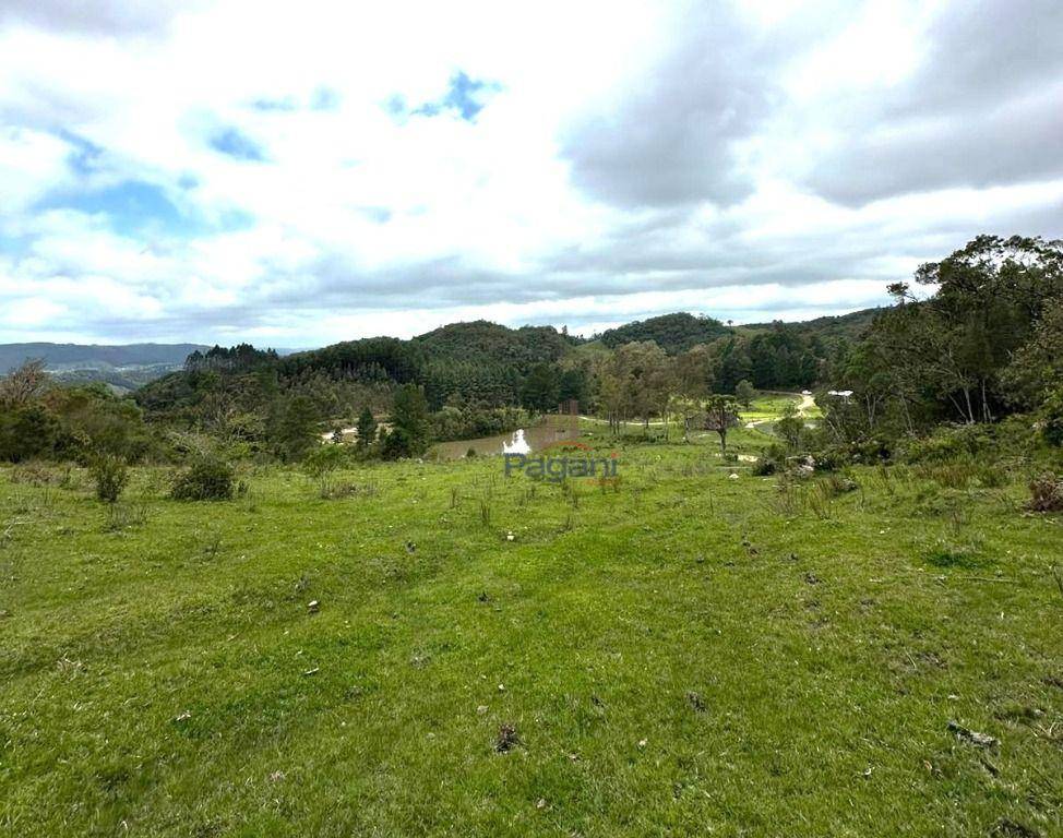 Terreno, 10 hectares - Foto 3