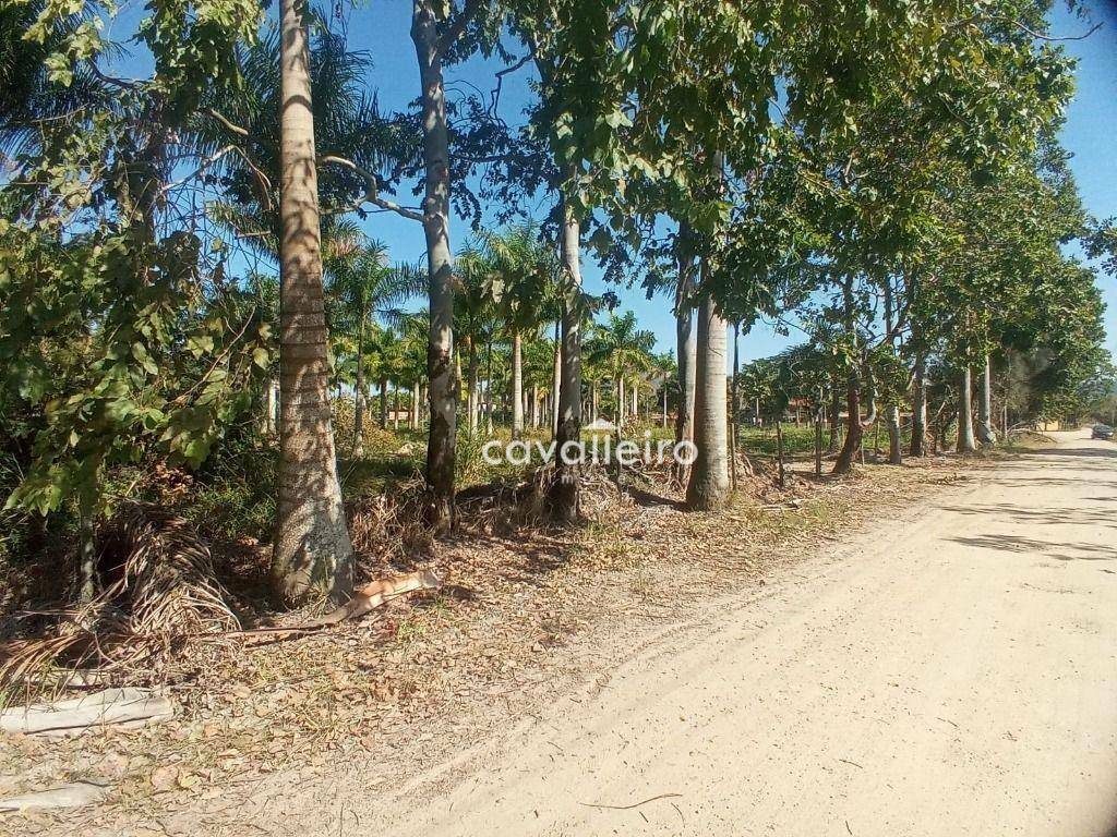Terreno à venda, 2000M2 - Foto 4