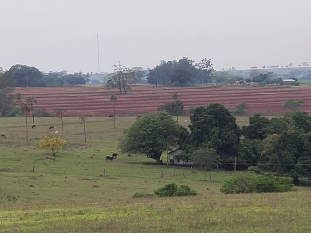 Fazenda, 53 hectares - Foto 8