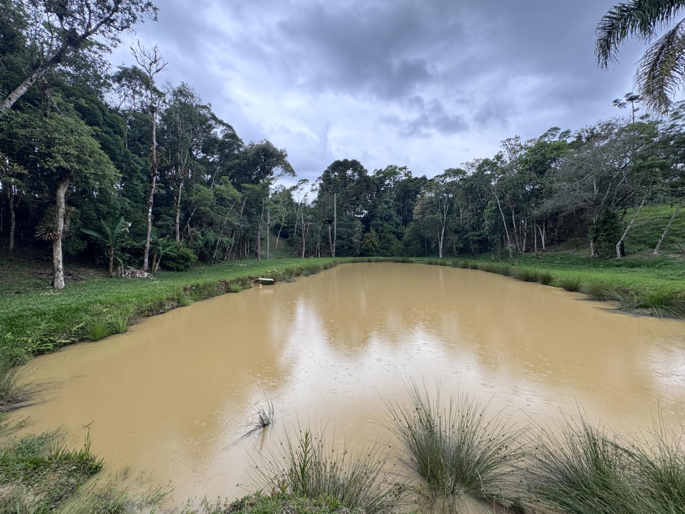 Chácara à venda com 4 quartos, 15000m² - Foto 61