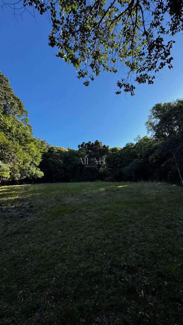 Chácara à venda, 20000m² - Foto 3