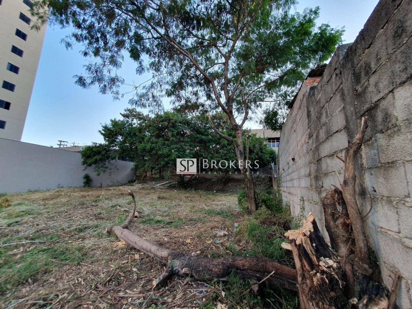 Terreno à venda e aluguel, 2000M2 - Foto 4