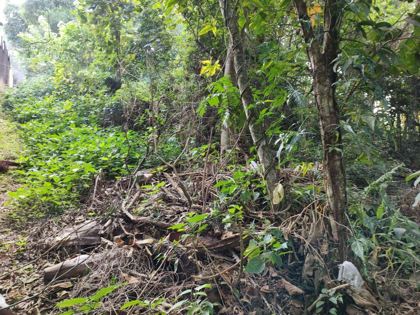 Loteamento e Condomínio à venda, 1000M2 - Foto 7