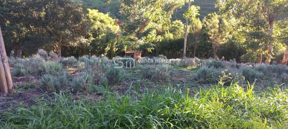 Fazenda à venda com 4 quartos, 72m² - Foto 19