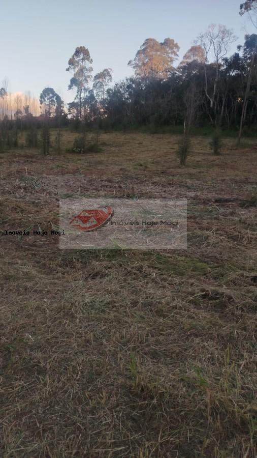 Terreno à venda, 5000m² - Foto 3