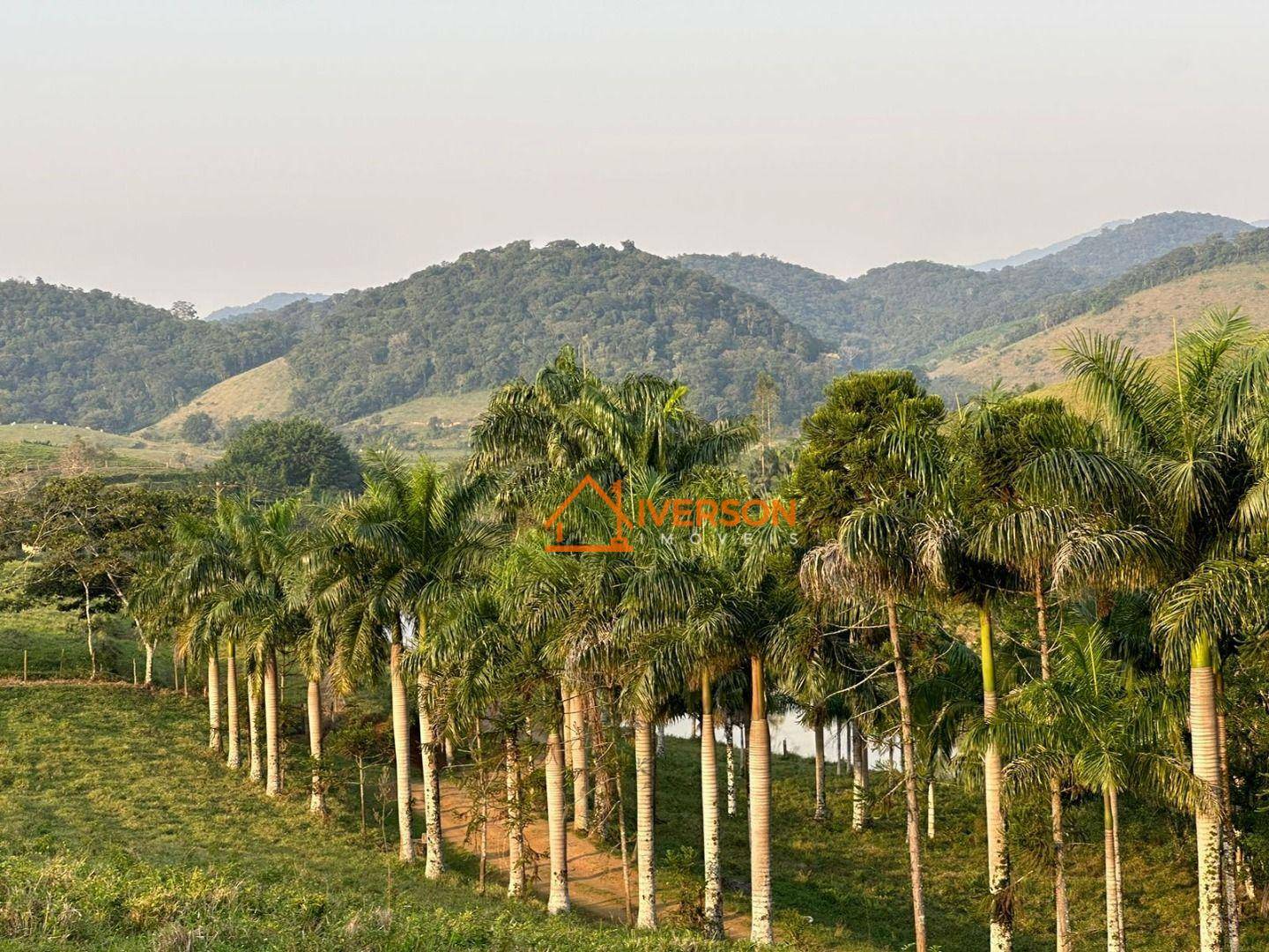 Fazenda à venda com 2 quartos, 300m² - Foto 8