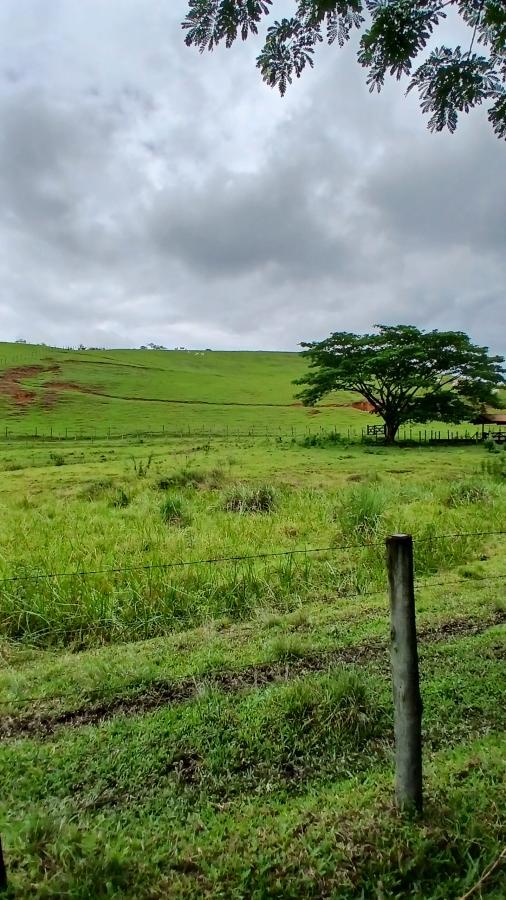 Fazenda à venda com 4 quartos, 19m² - Foto 13