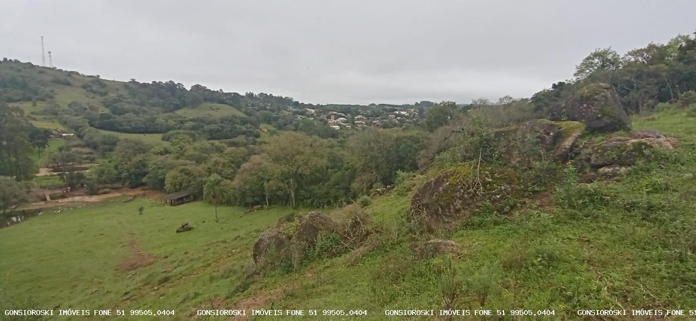 Fazenda à venda com 1 quarto, 18000m² - Foto 4