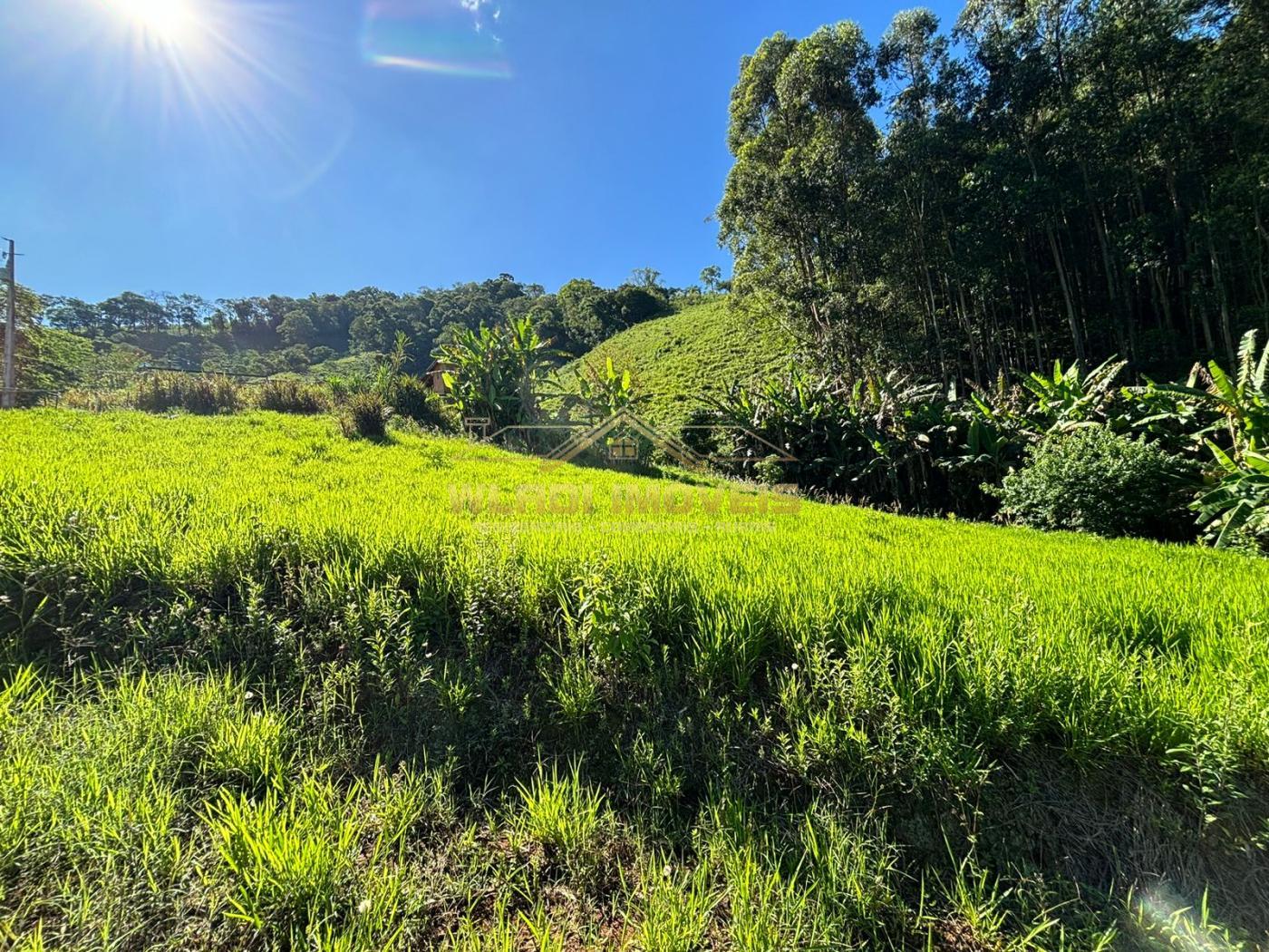 Fazenda à venda, 72000m² - Foto 5