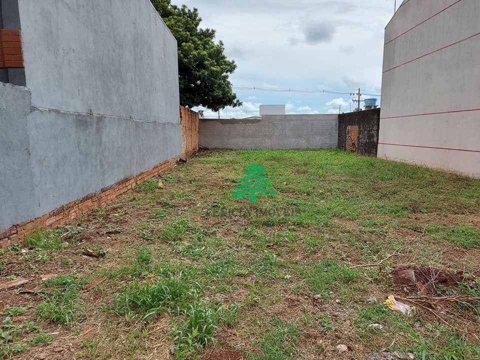 Terreno para alugar, 250M2 - Foto 2