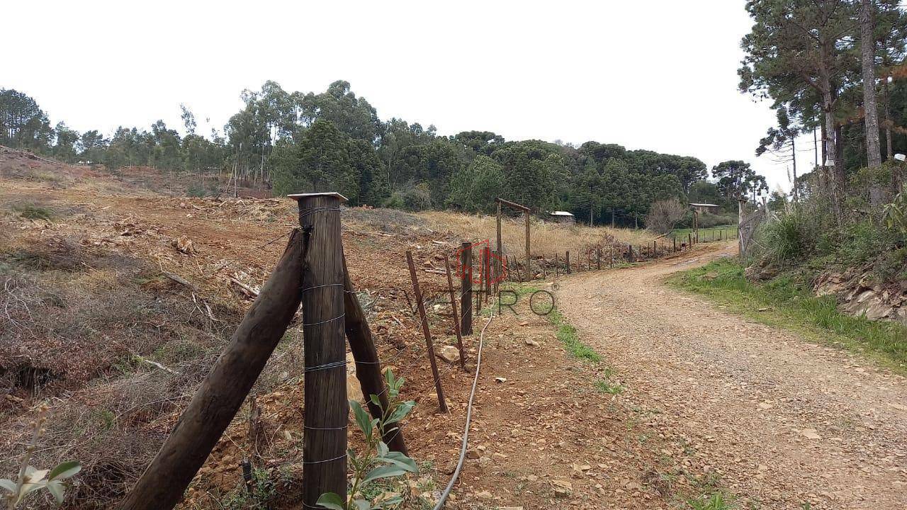 Terreno à venda, 6613M2 - Foto 6