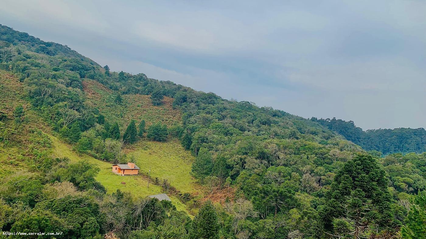 Fazenda à venda com 3 quartos, 83000m² - Foto 11