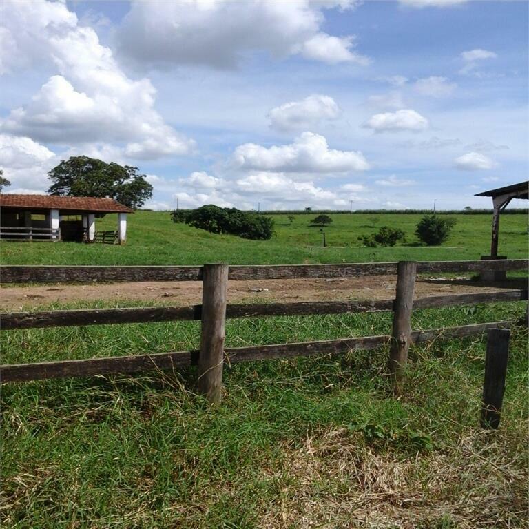 Fazenda à venda com 5 quartos, 3521000M2 - Foto 4