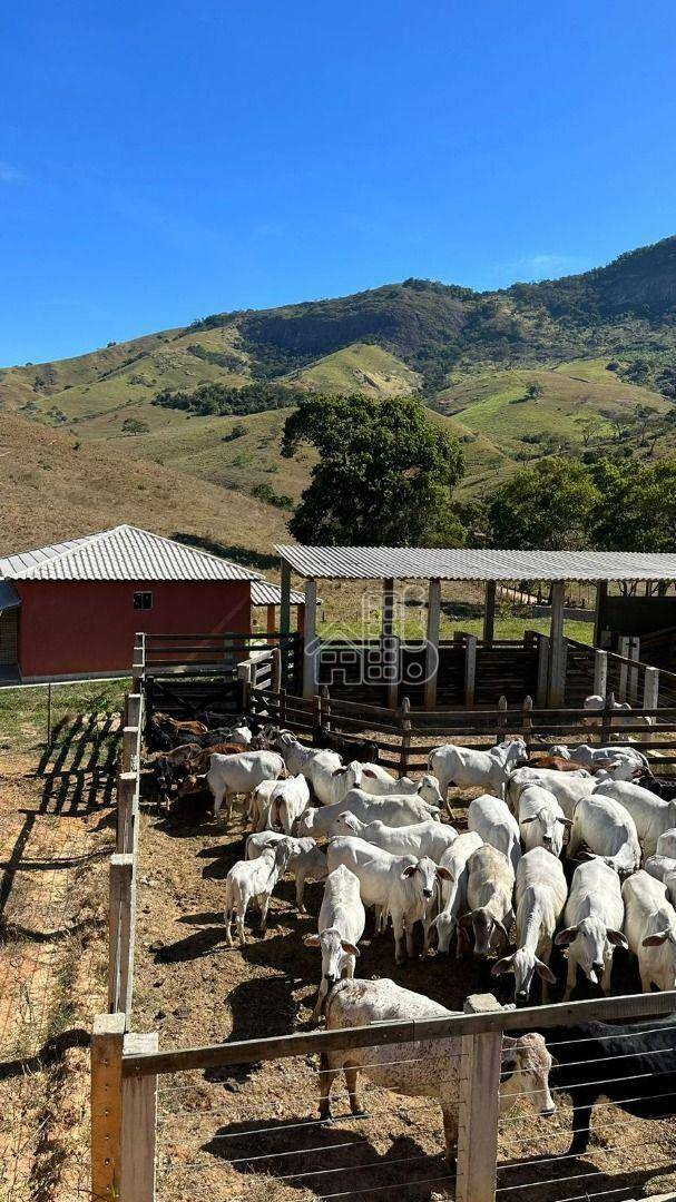 Fazenda-Sítio-Chácara, 54 hectares - Foto 2