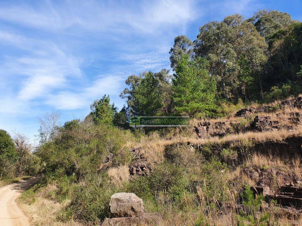 Terreno à venda, 15600M2 - Foto 23