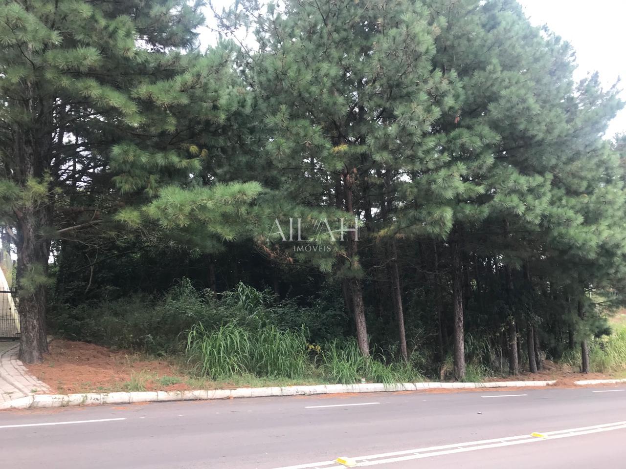 Terreno à venda, 5m² - Foto 2