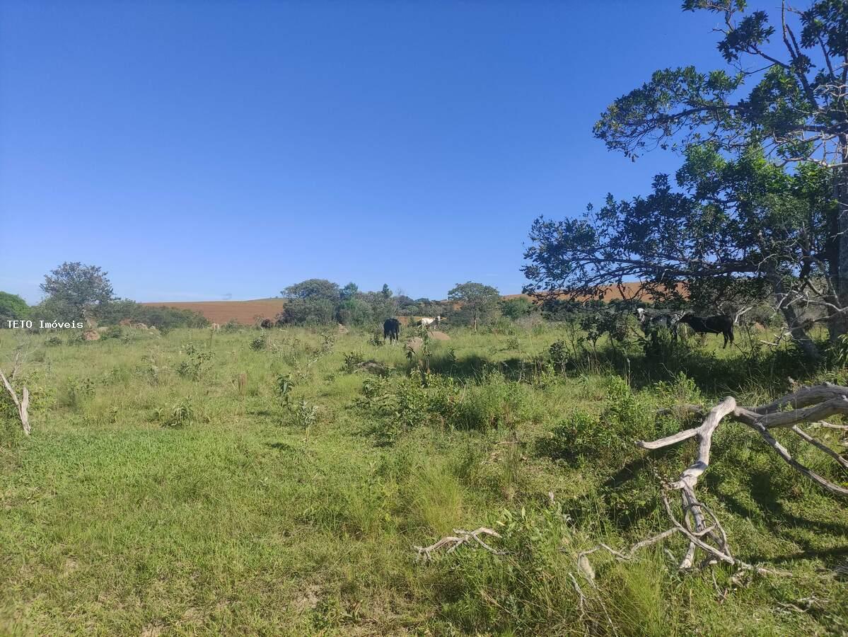 Terreno à venda, 77m² - Foto 3