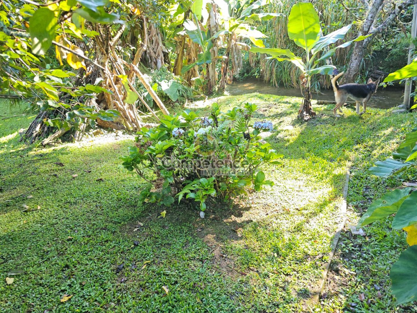 Sítio à venda com 3 quartos, 152m² - Foto 17