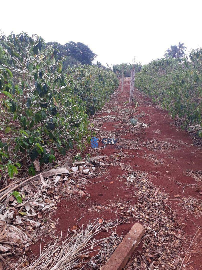 Chácara à venda com 3 quartos, 72600M2 - Foto 17