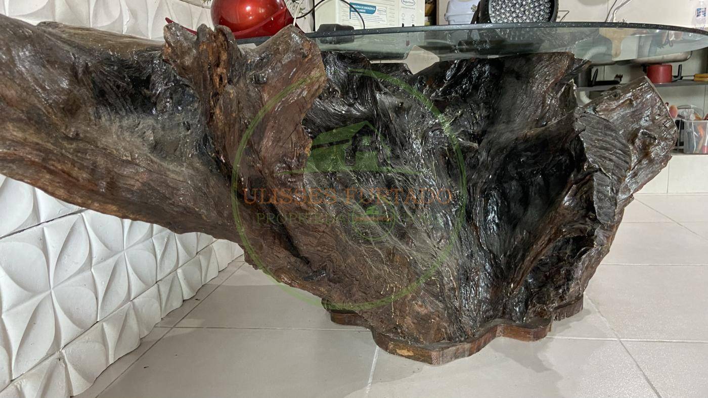 Chácara, 6000 m² - Foto 35