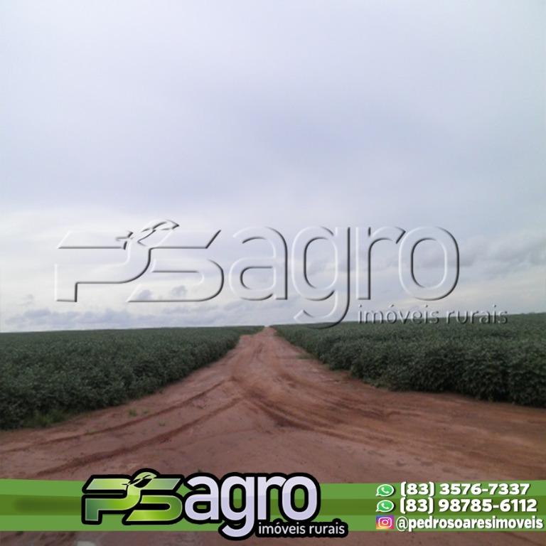 Fazenda à venda, 1000000000M2 - Foto 10