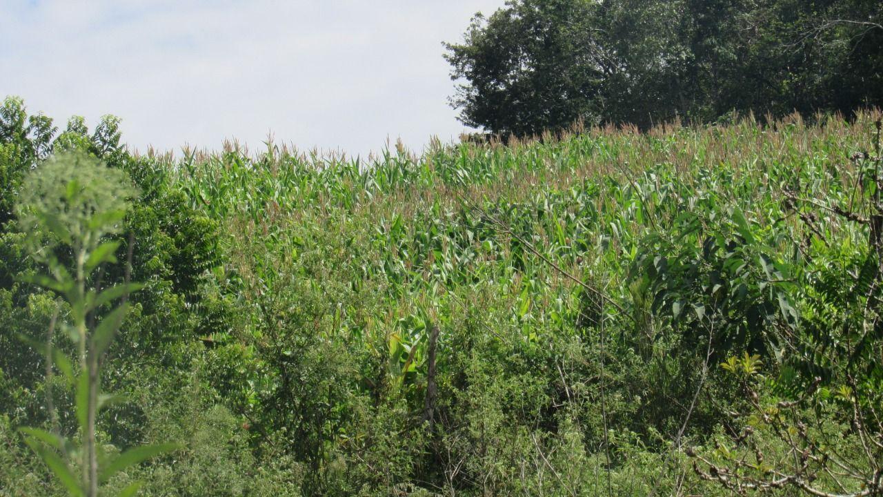 Loteamento e Condomínio à venda, 120000m² - Foto 3