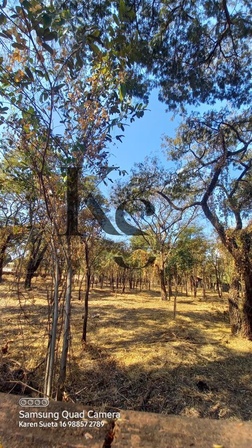 Fazenda à venda, 5850m² - Foto 11