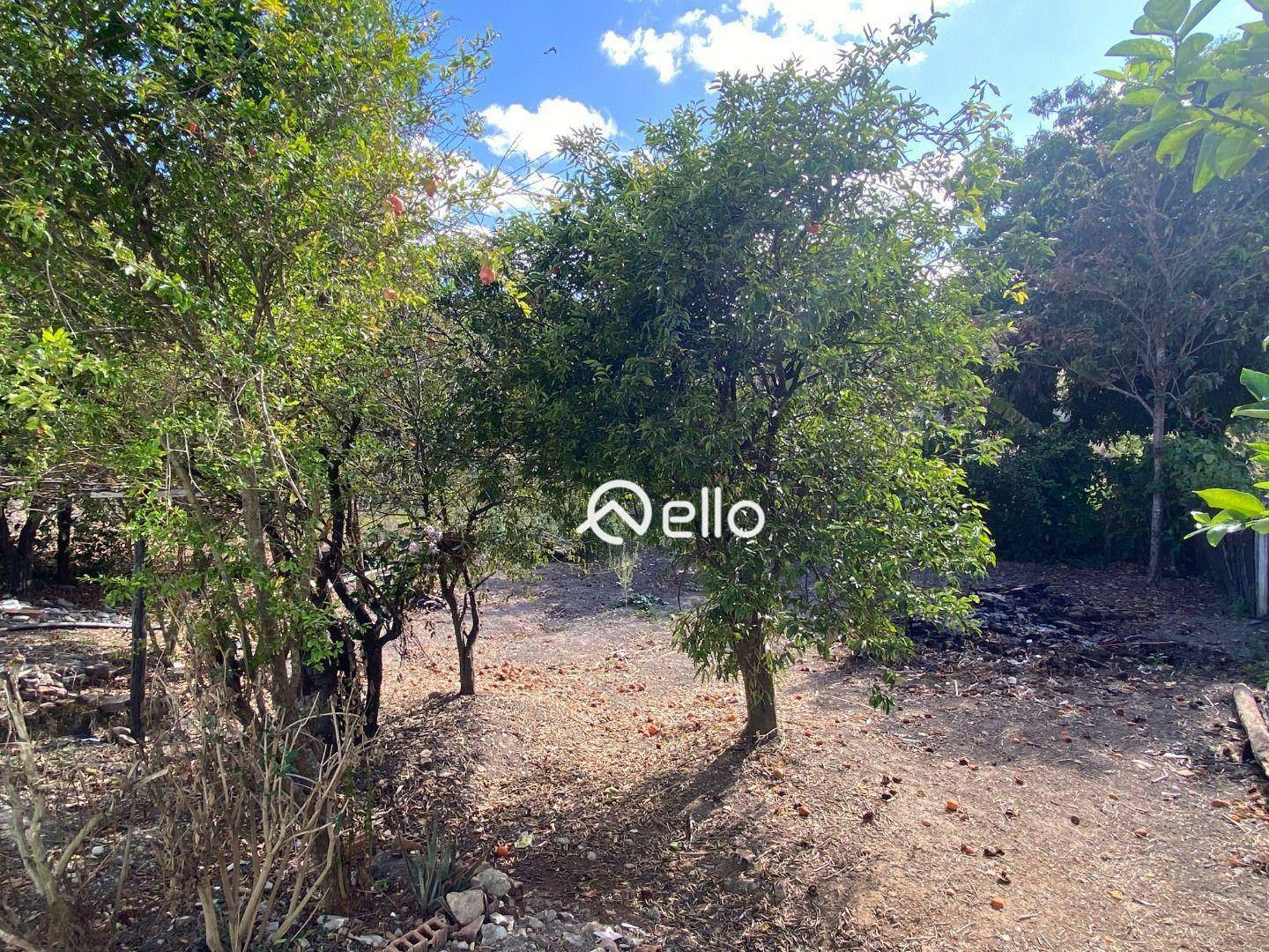 Casa, 3 quartos, 102 m² - Foto 14