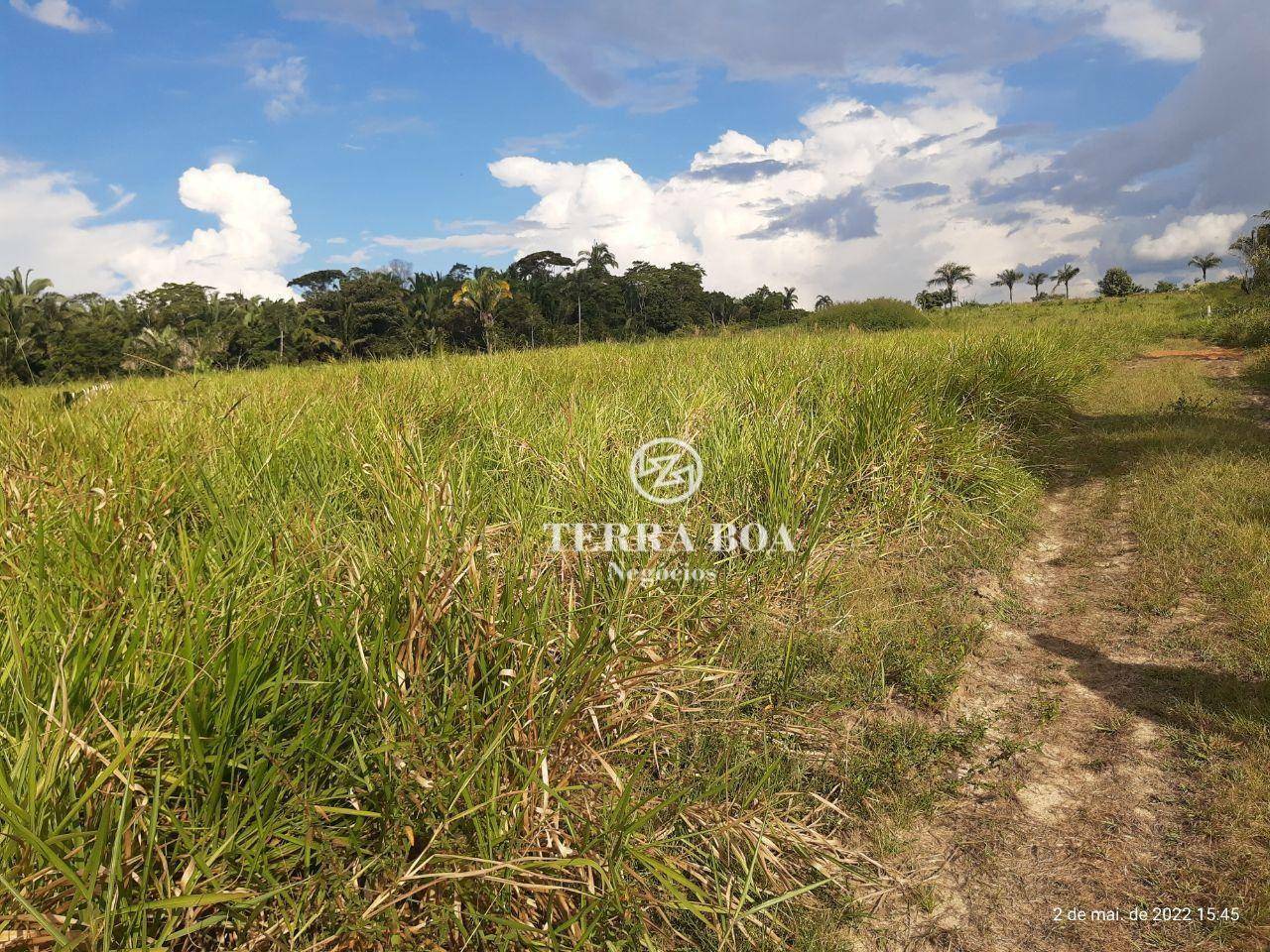 Chácara à venda, 60000M2 - Foto 23