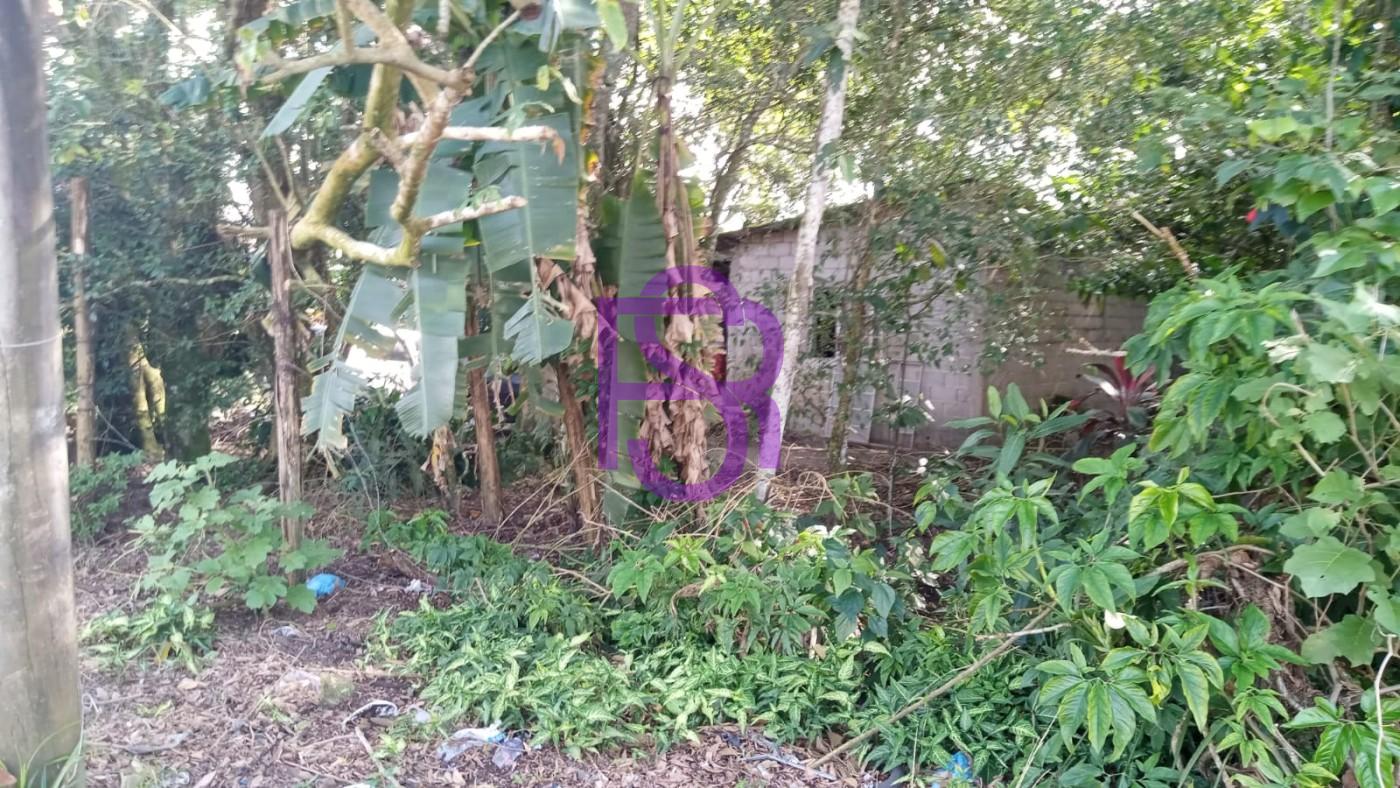 Chácara, 3 quartos, 1495 m² - Foto 21