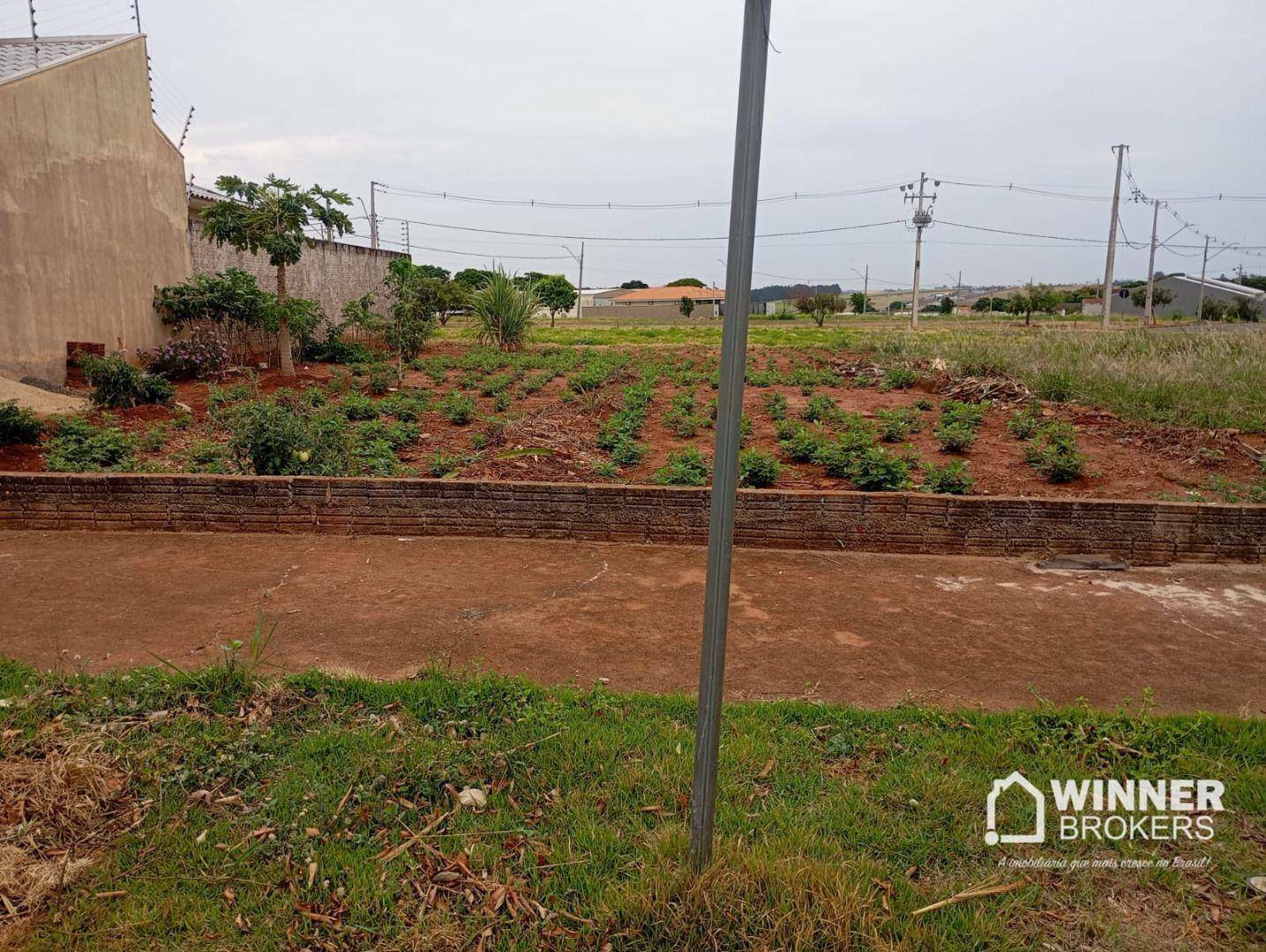 Terreno, 200 m² - Foto 2