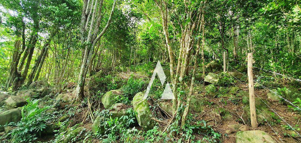 Terreno à venda, 25426M2 - Foto 11