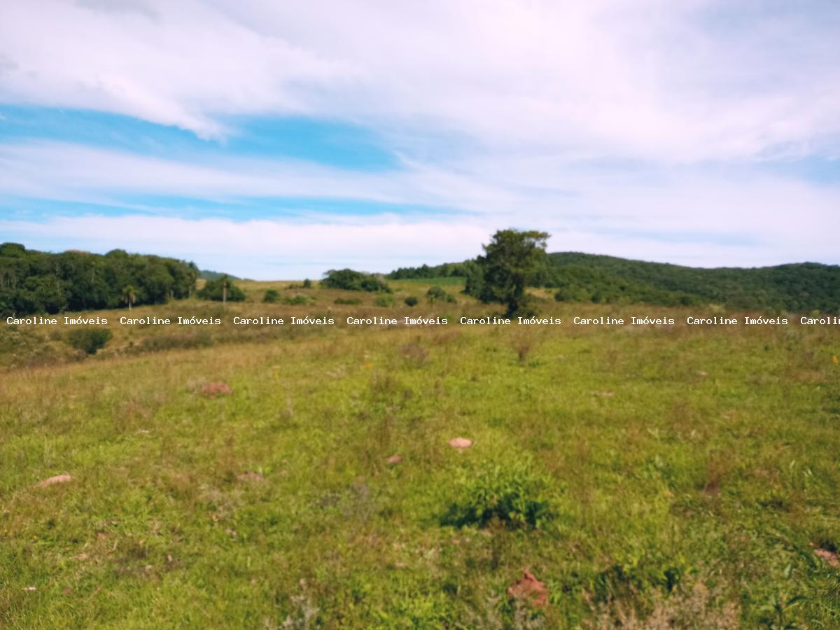 Fazenda à venda com 5 quartos, 625000m² - Foto 41