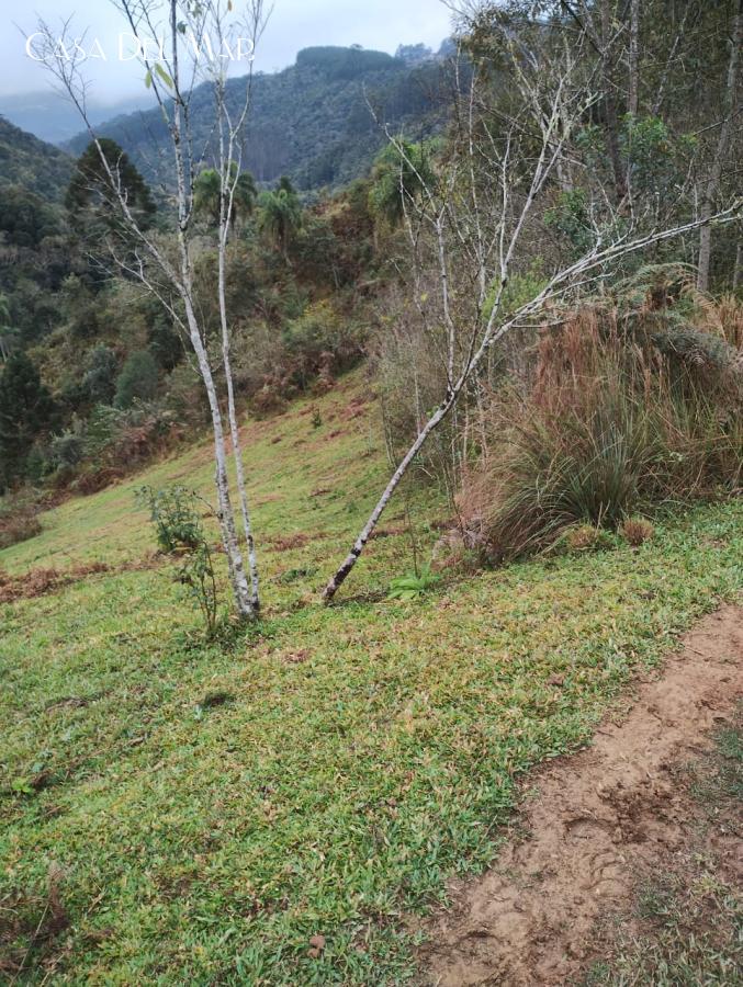 Fazenda à venda, 20000m² - Foto 5