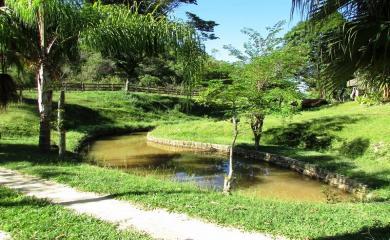 Fazenda à venda com 3 quartos, 33200m² - Foto 12